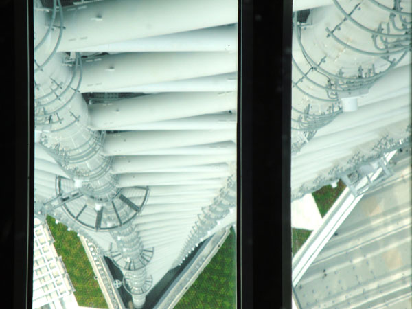 スカイツリー@ガラス床 スカイツリー@ガラス床