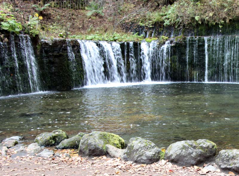 白糸の滝 白糸の滝