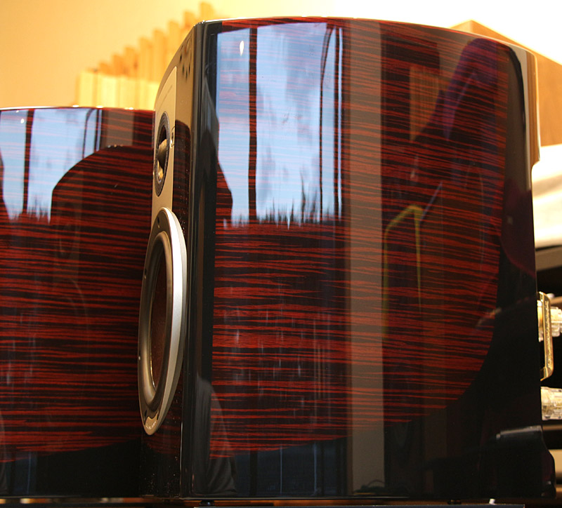 DALI EPICON2 ルビーマカッサル キレイな極上程度で入荷です。